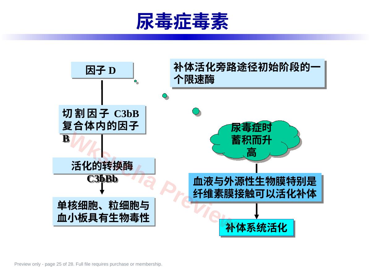 预览第 25 页