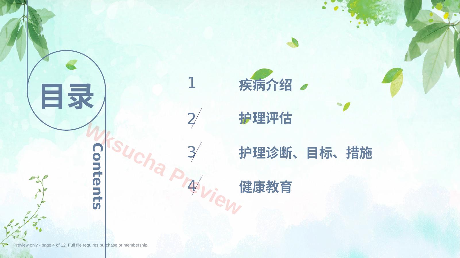 预览第 4 页