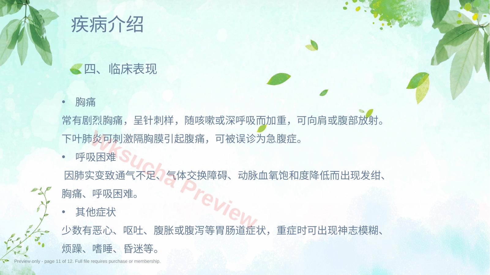 预览第 11 页