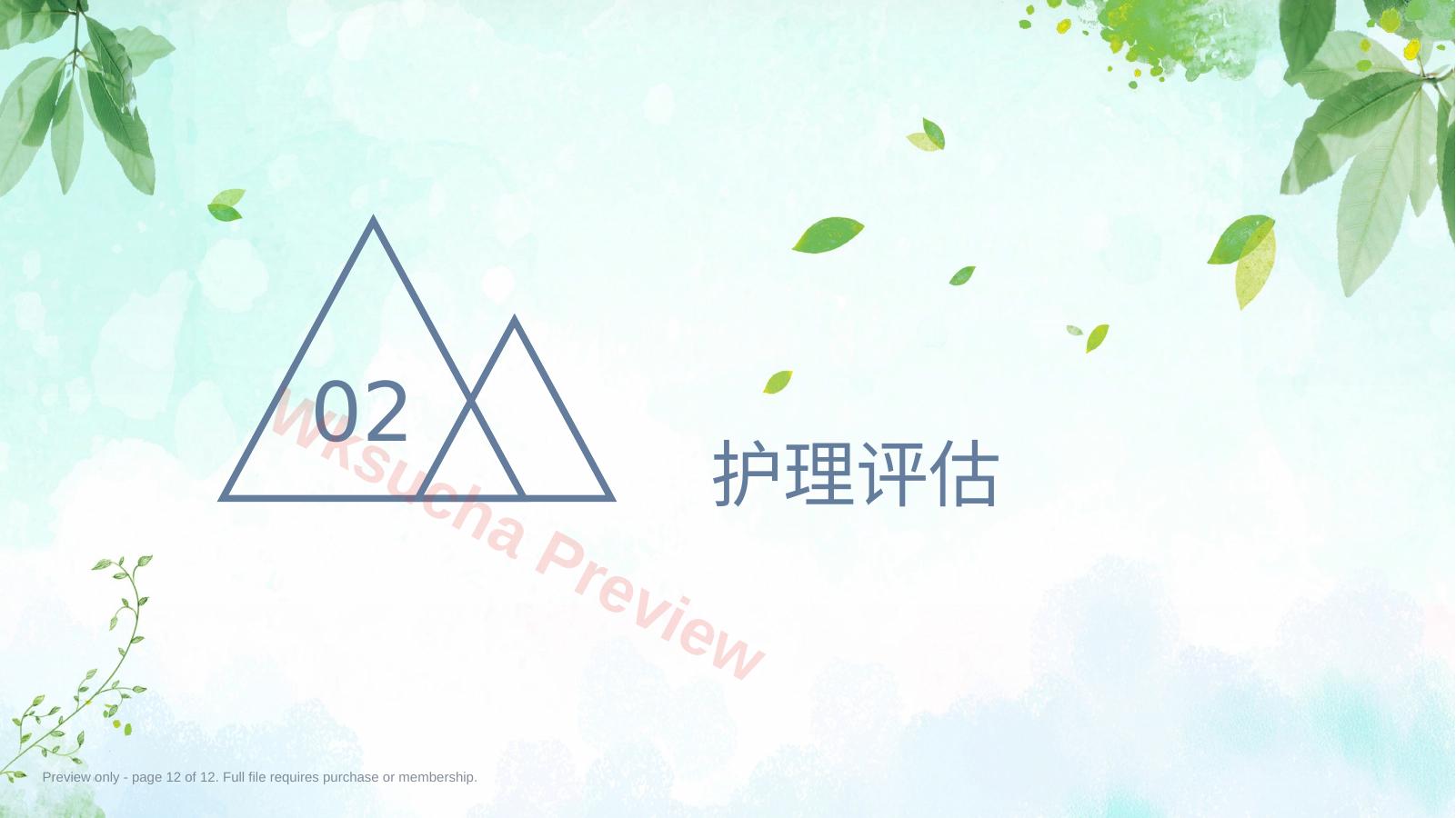 预览第 12 页