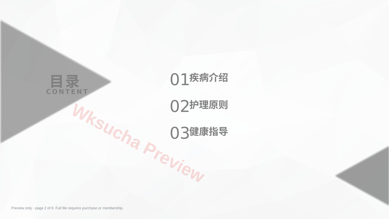 预览第 2 页
