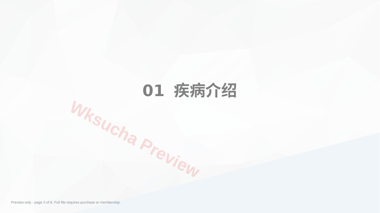 预览第 3 页