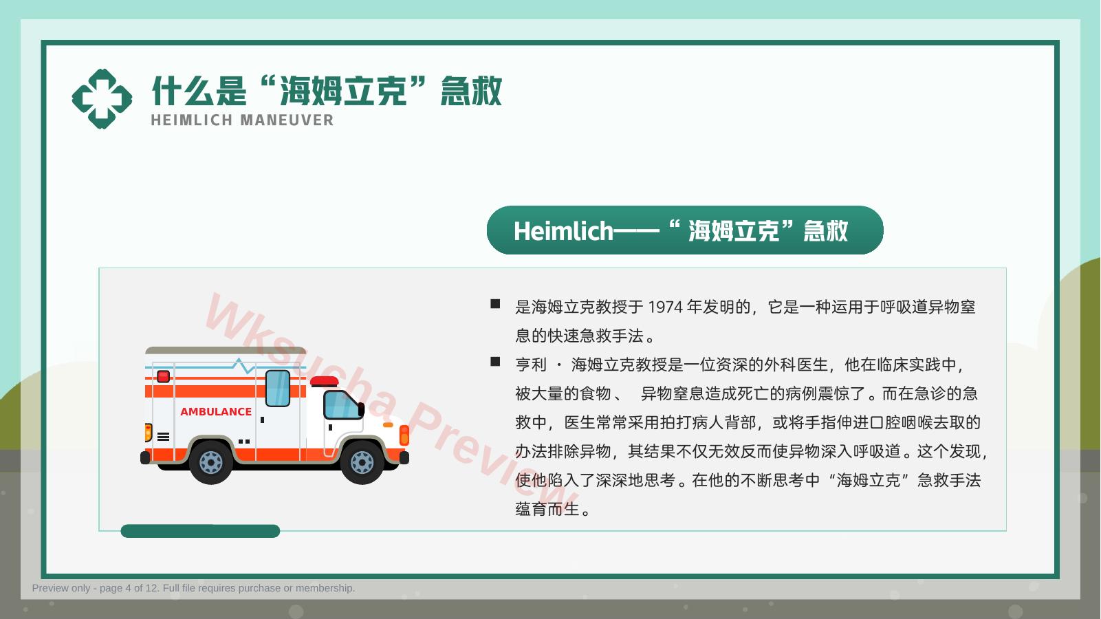 预览第 4 页