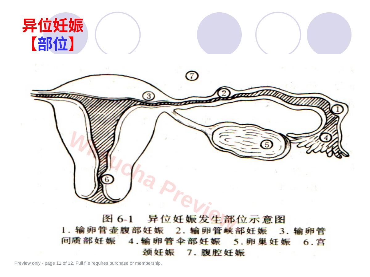 预览第 11 页