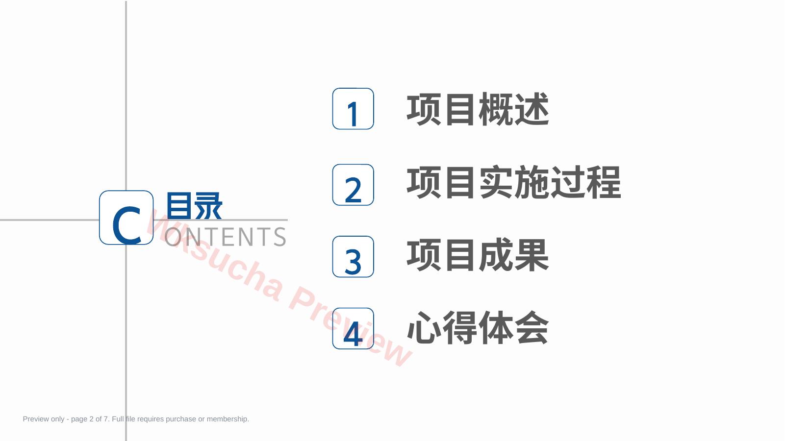 预览第 2 页