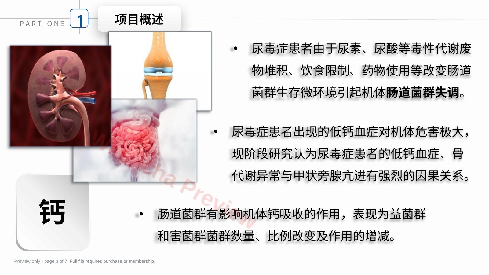 预览第 3 页