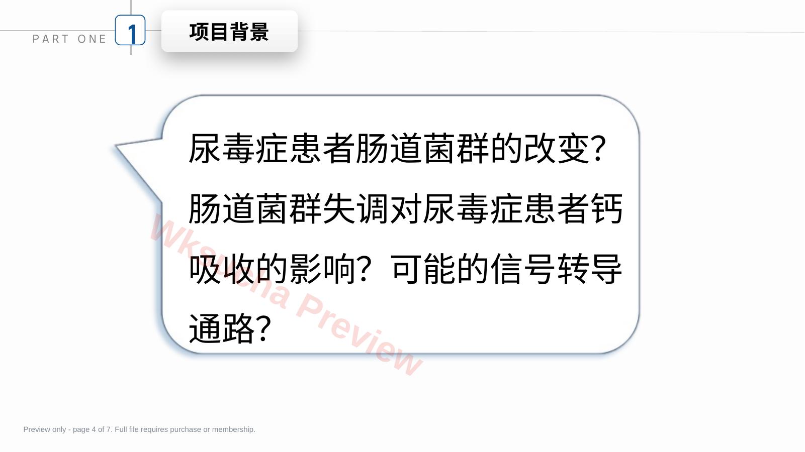 预览第 4 页