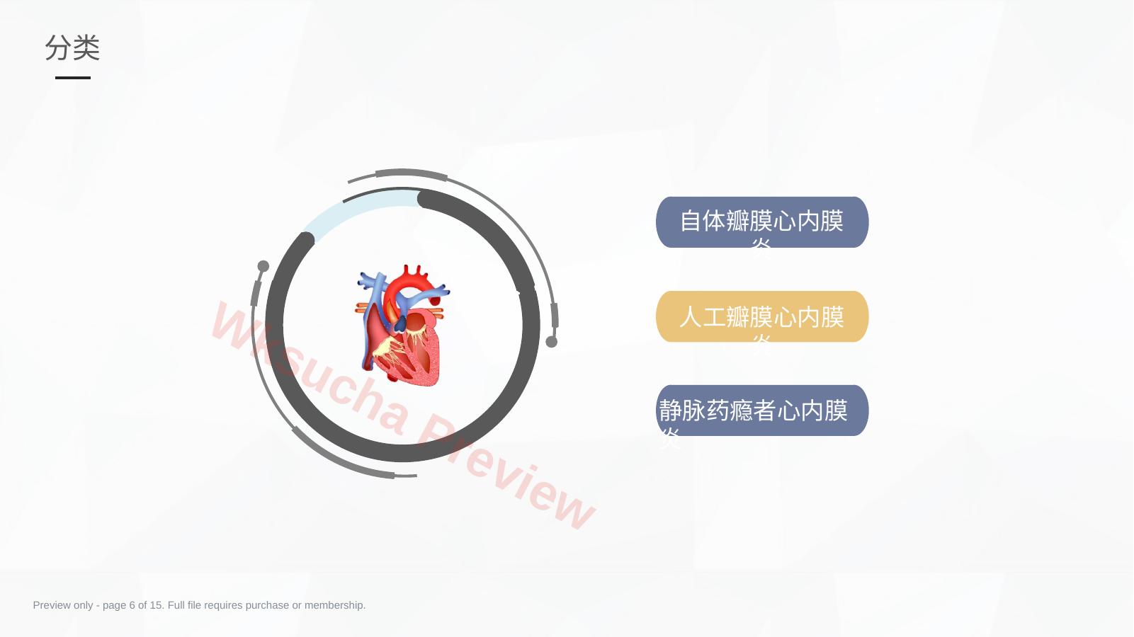预览第 6 页