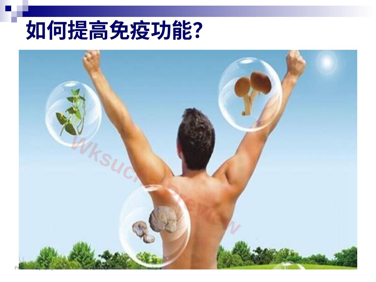 预览第 2 页