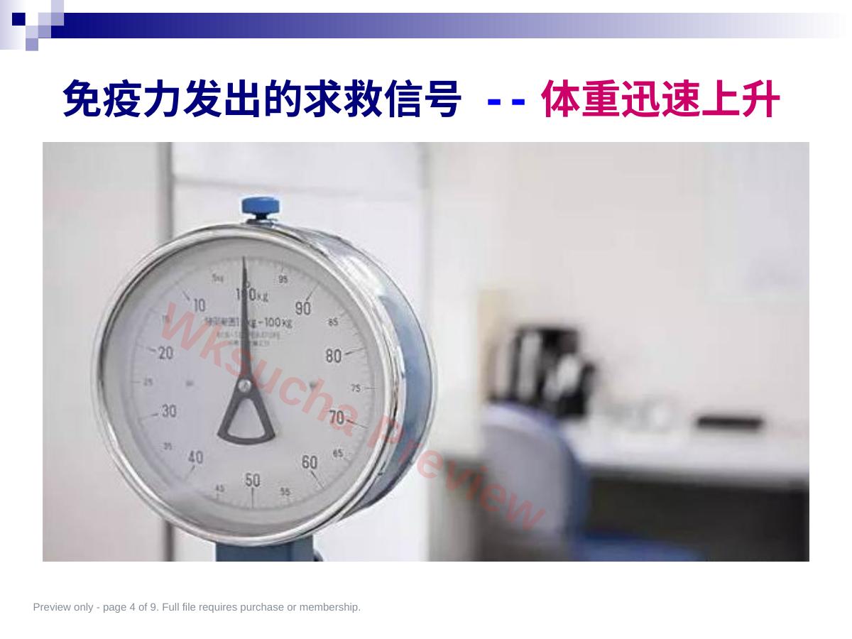 预览第 4 页