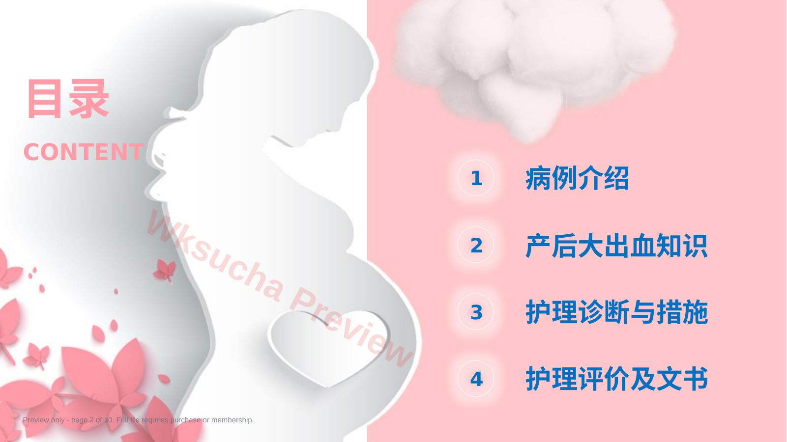 预览第 2 页