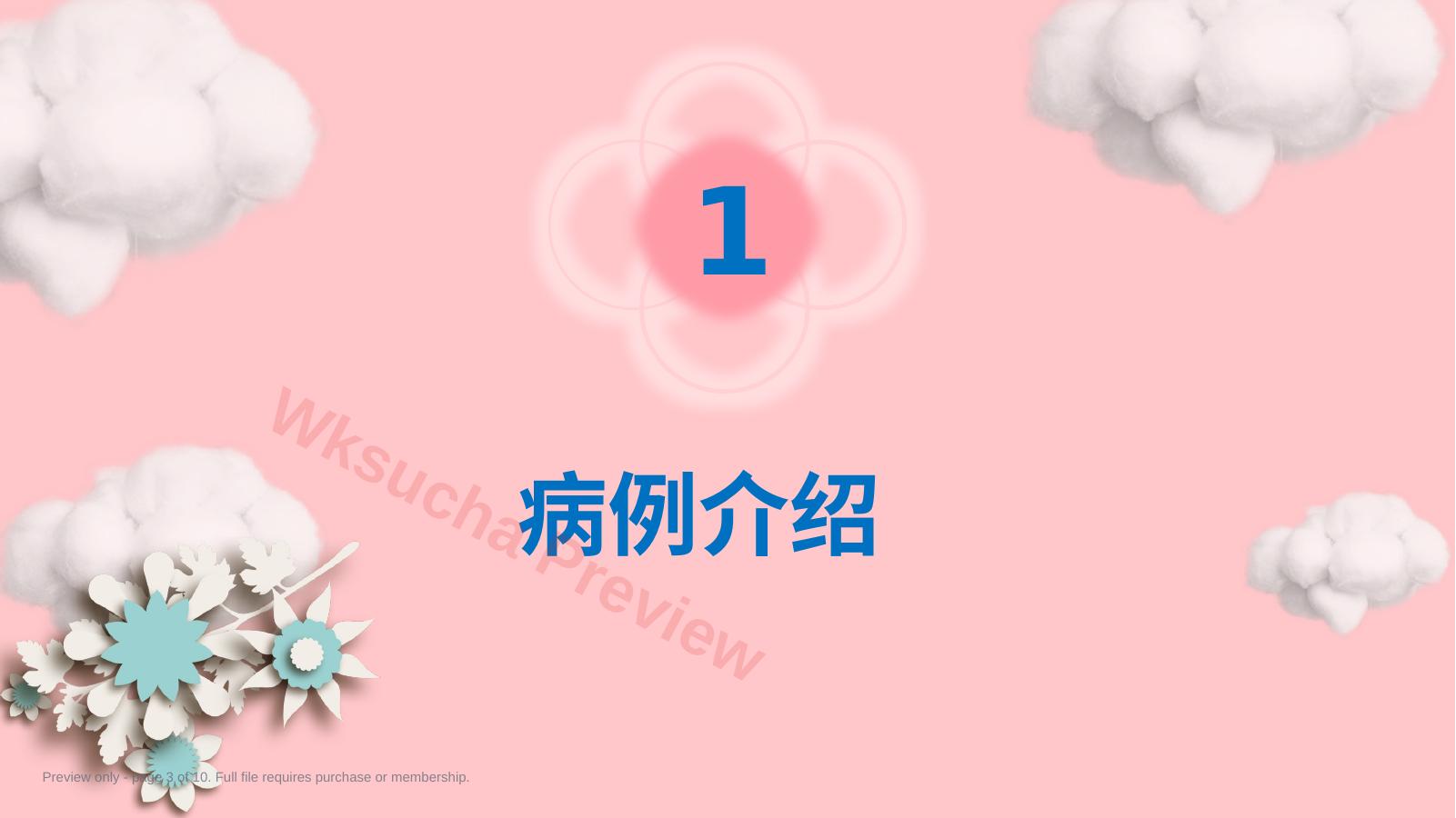 预览第 3 页