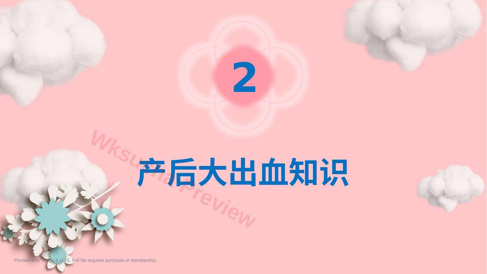 预览第 8 页