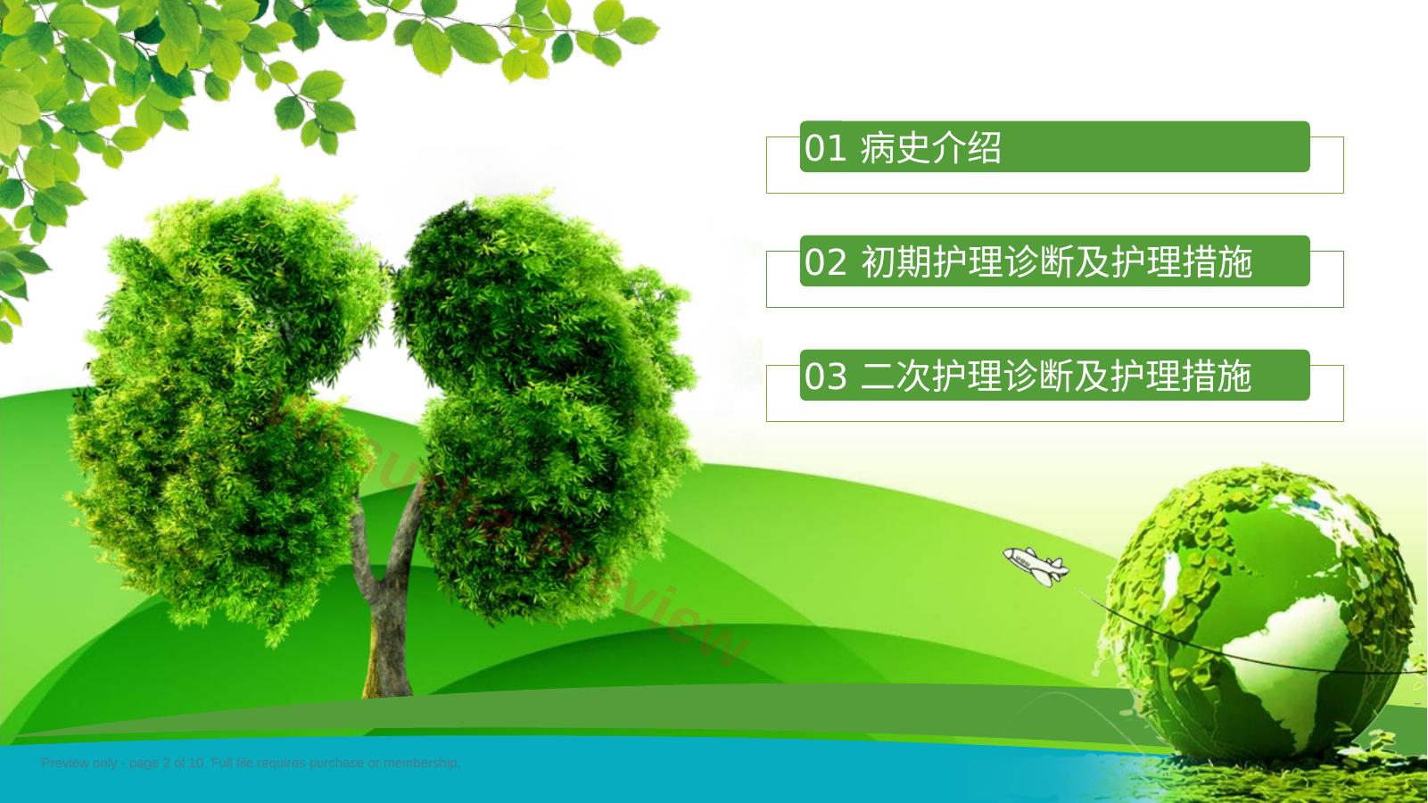 预览第 2 页