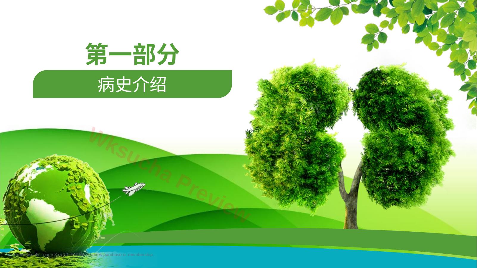 预览第 3 页