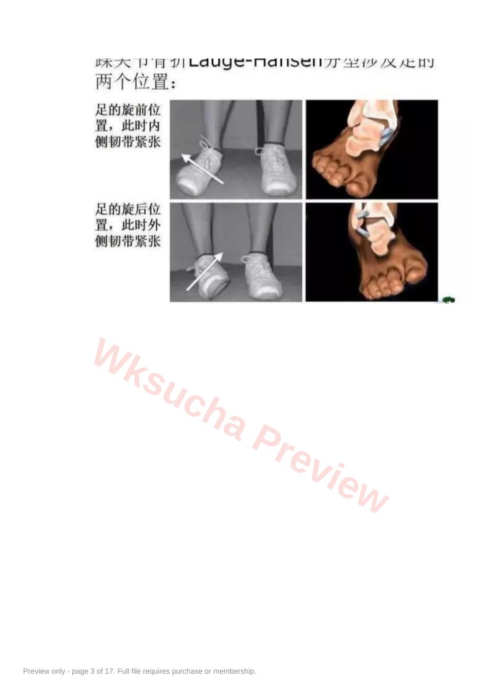 预览第 3 页