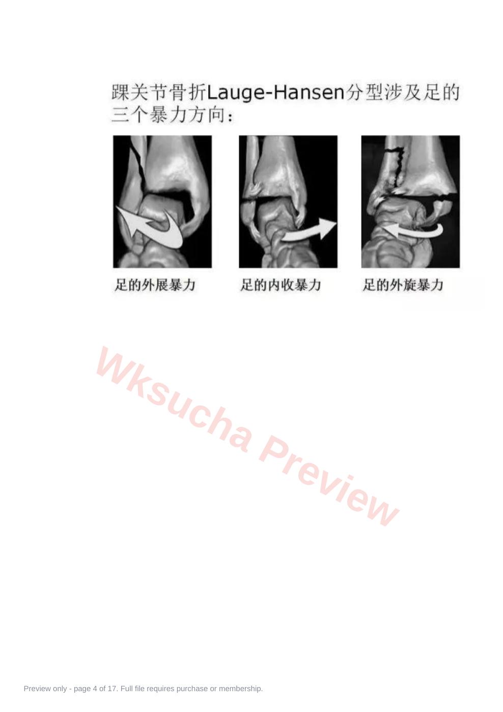 预览第 4 页