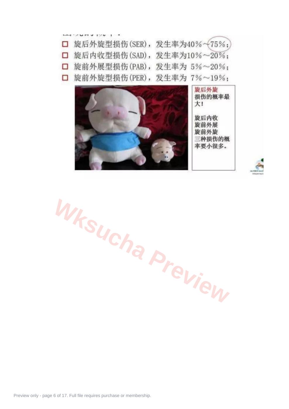 预览第 6 页