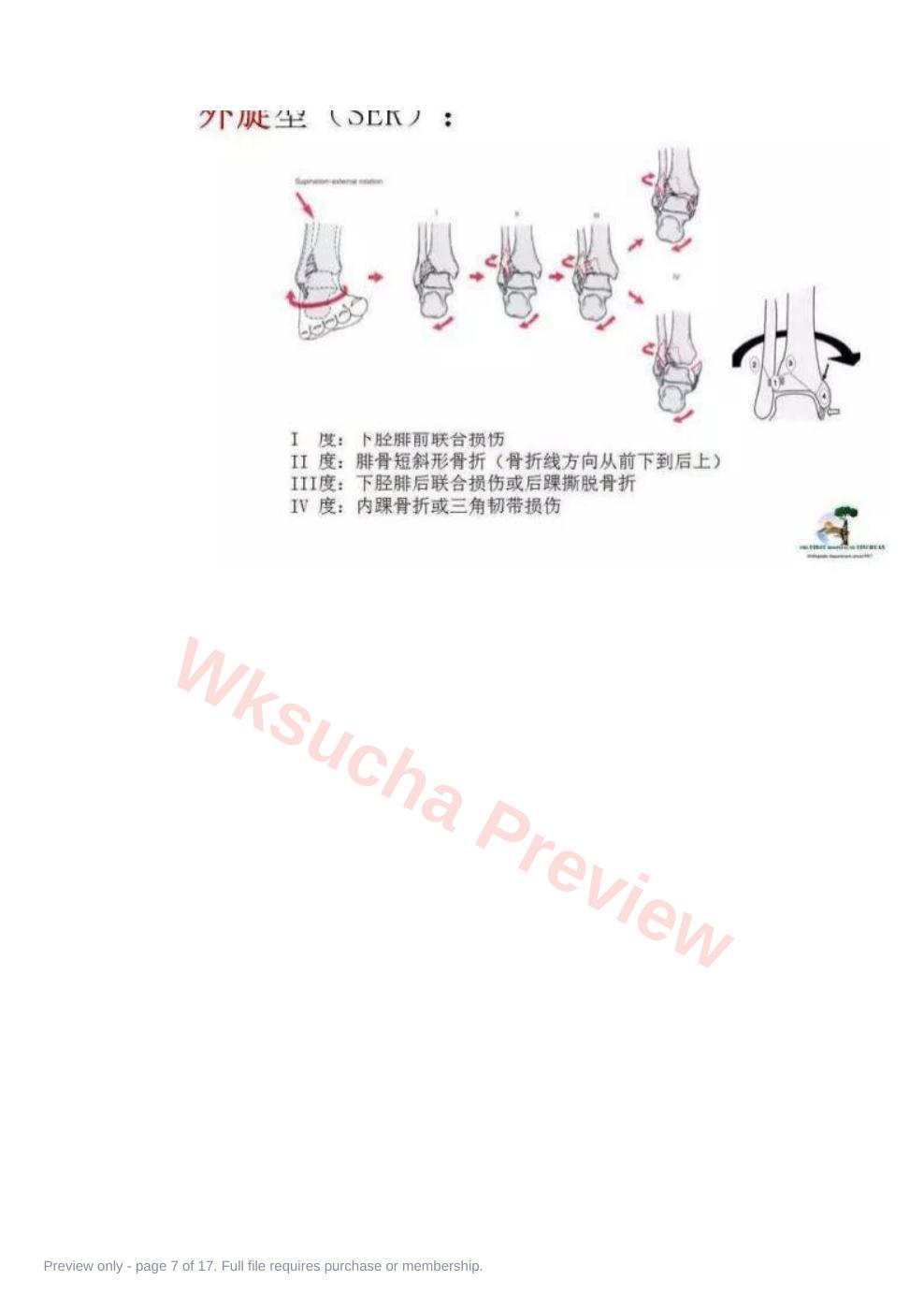 预览第 7 页