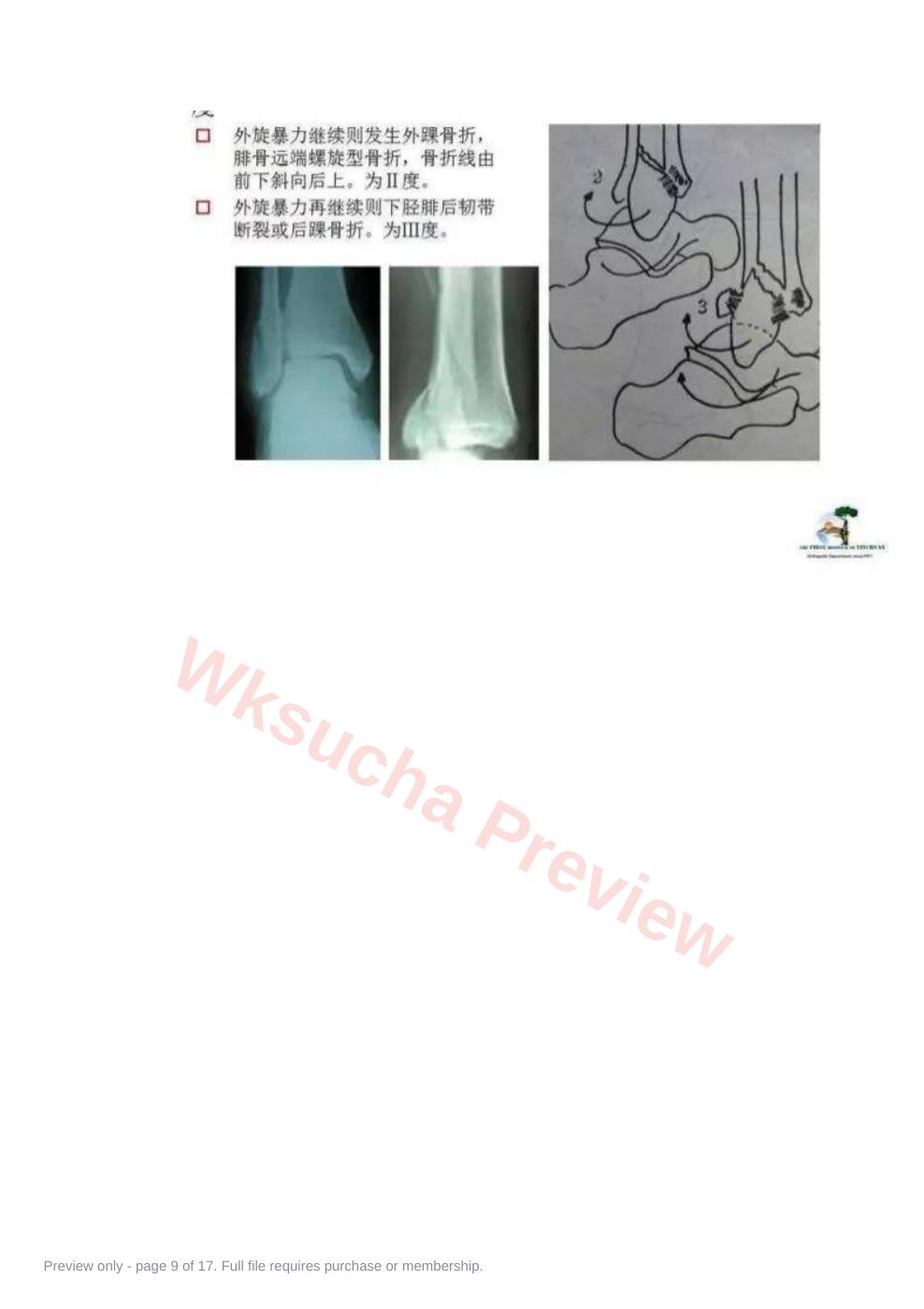 预览第 9 页