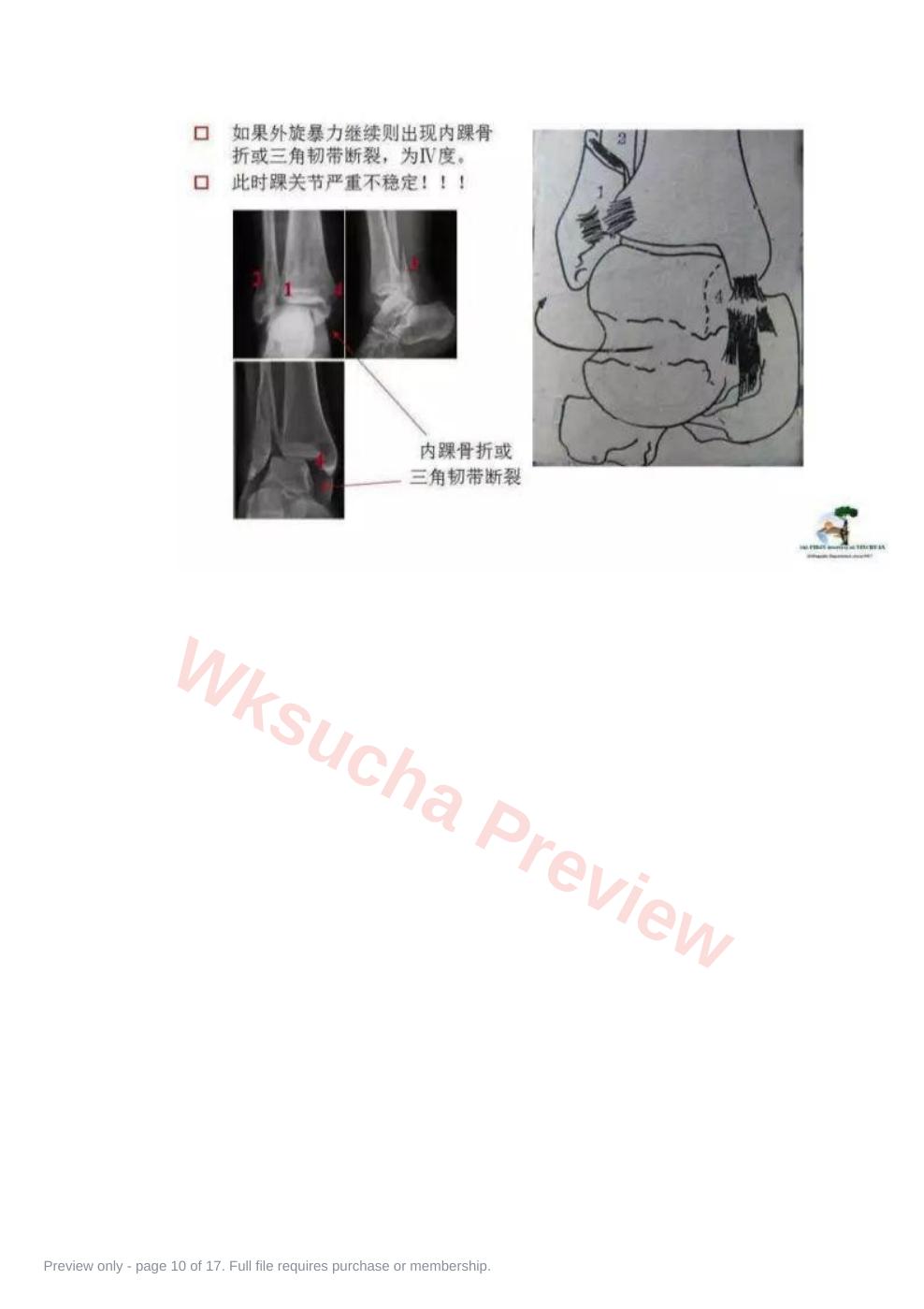 预览第 10 页
