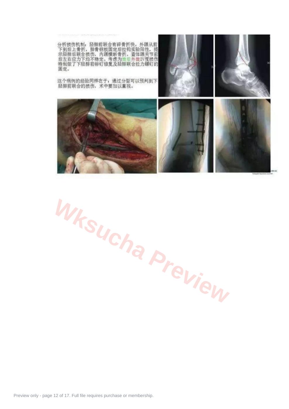预览第 12 页