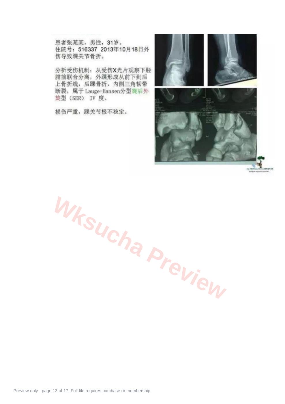 预览第 13 页