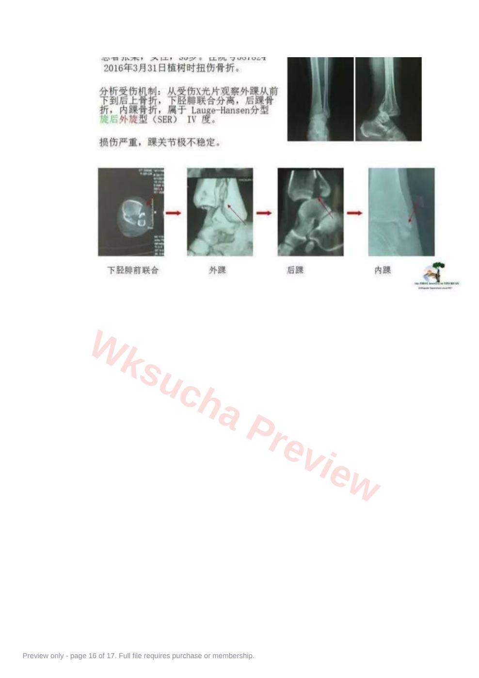 预览第 16 页