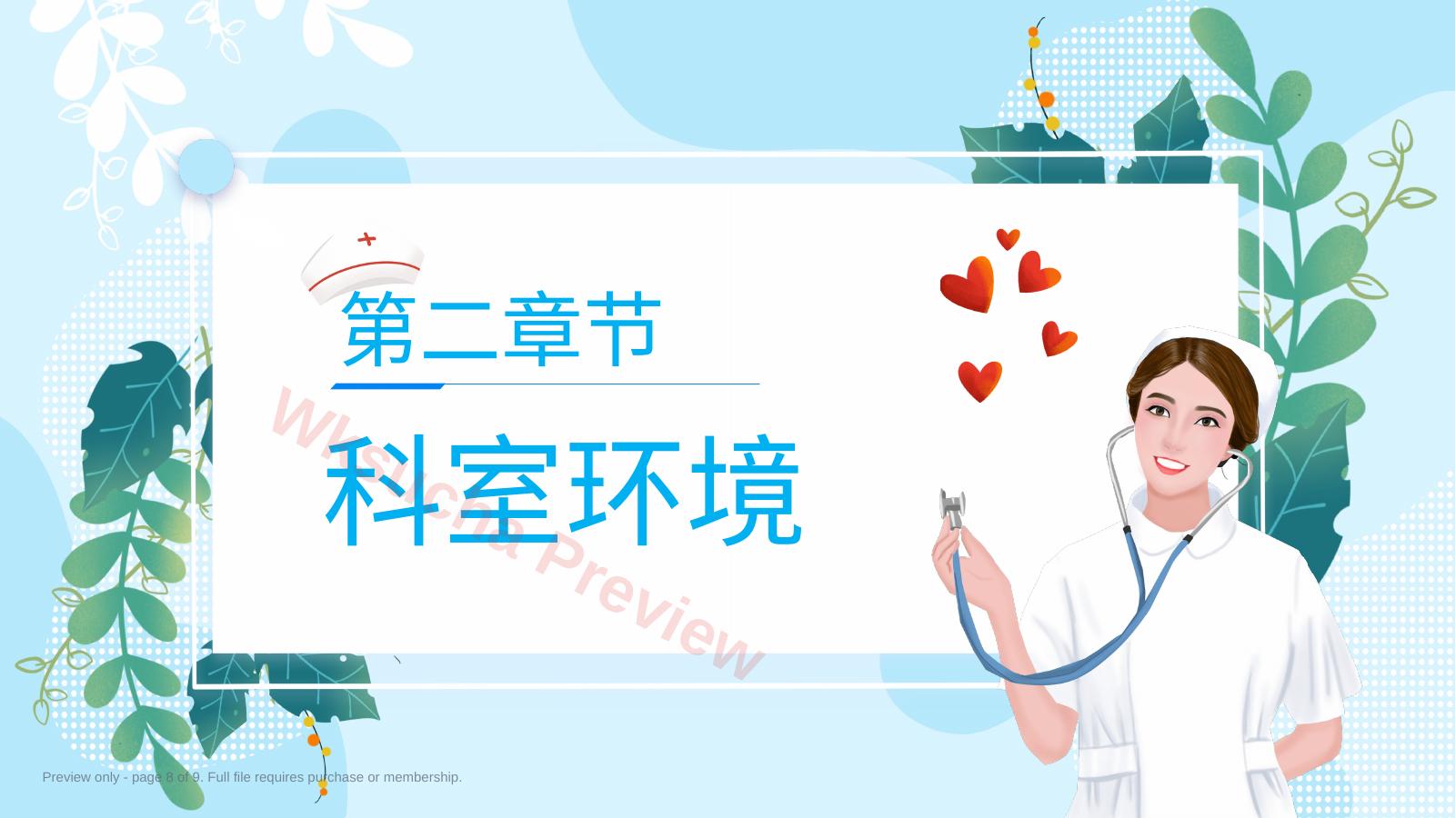 预览第 8 页