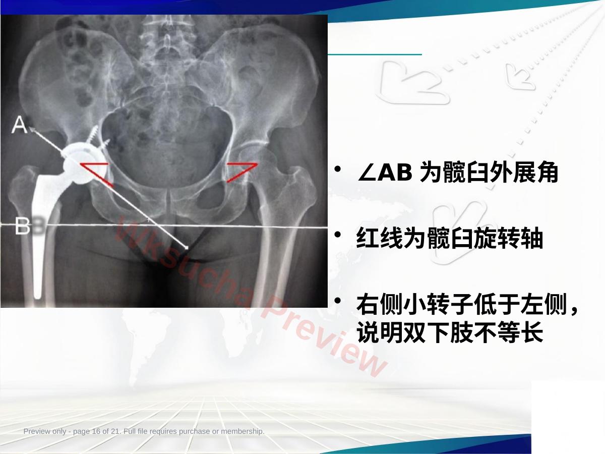 预览第 16 页