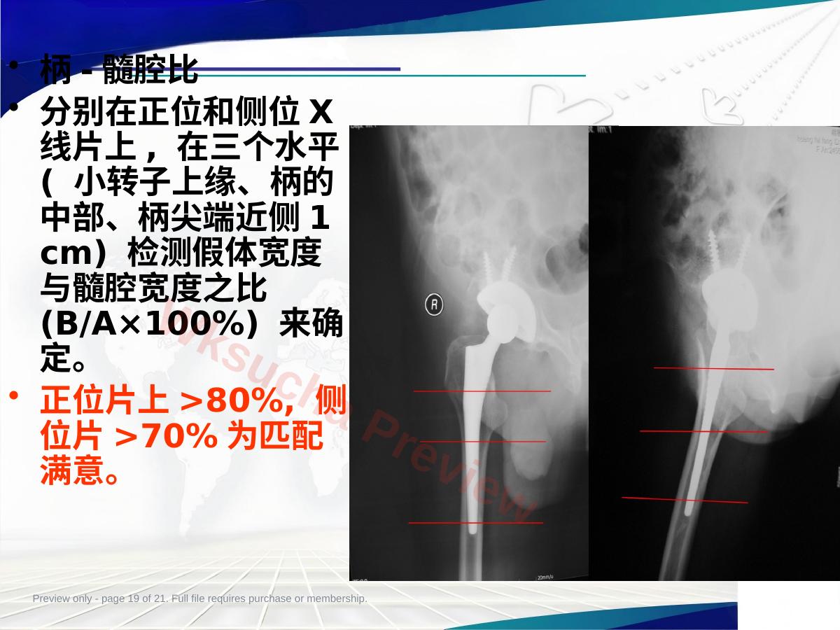 预览第 19 页