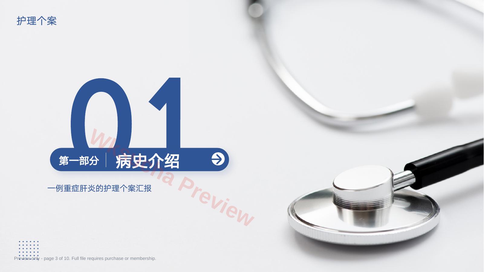 预览第 3 页