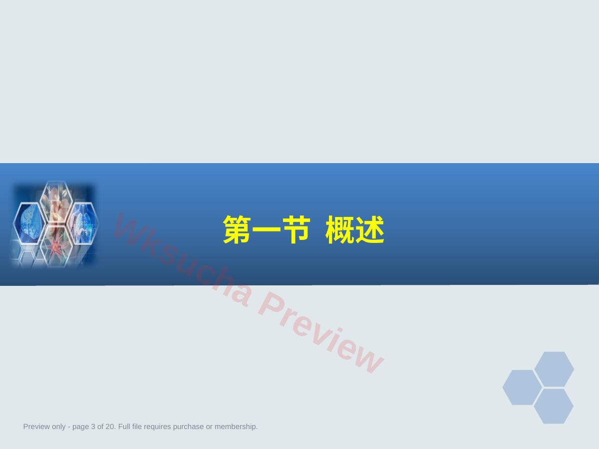 预览第 3 页