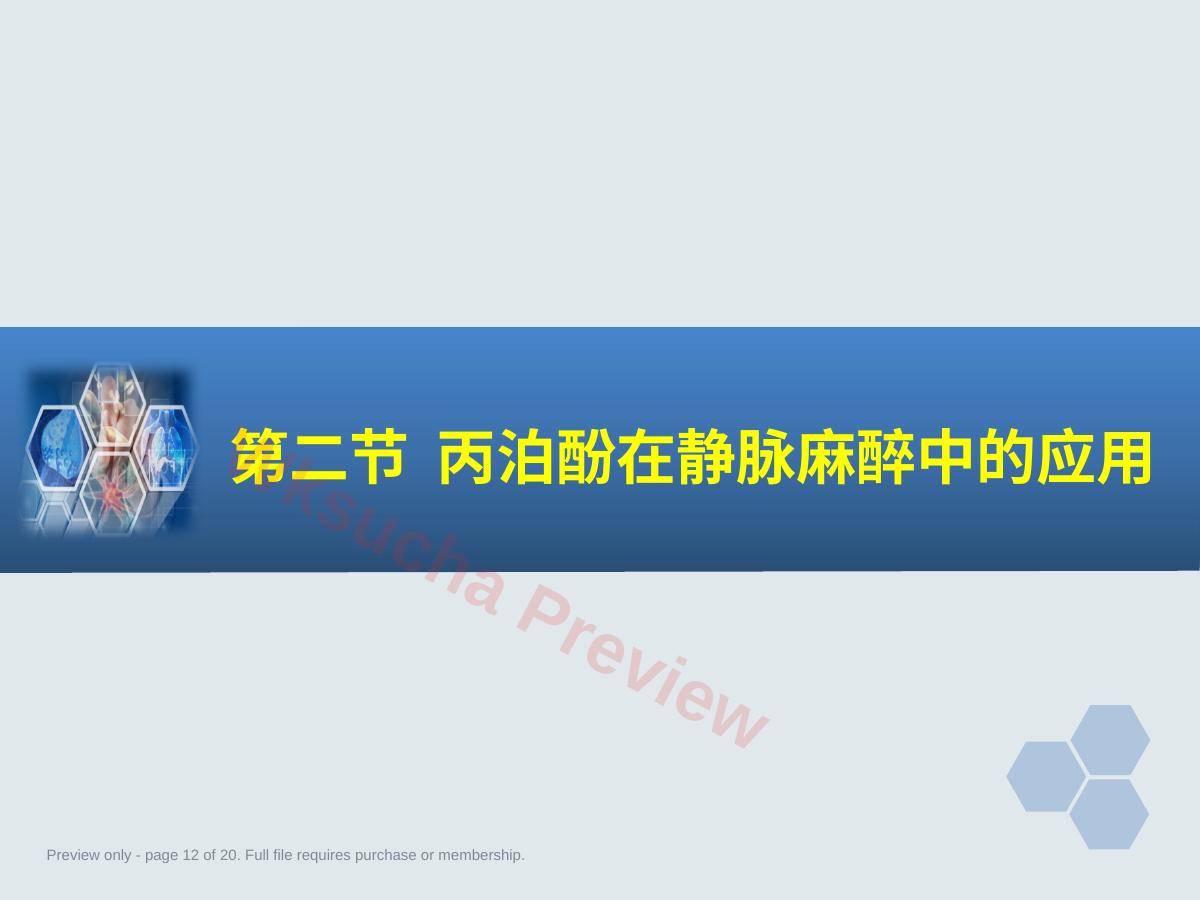 预览第 12 页