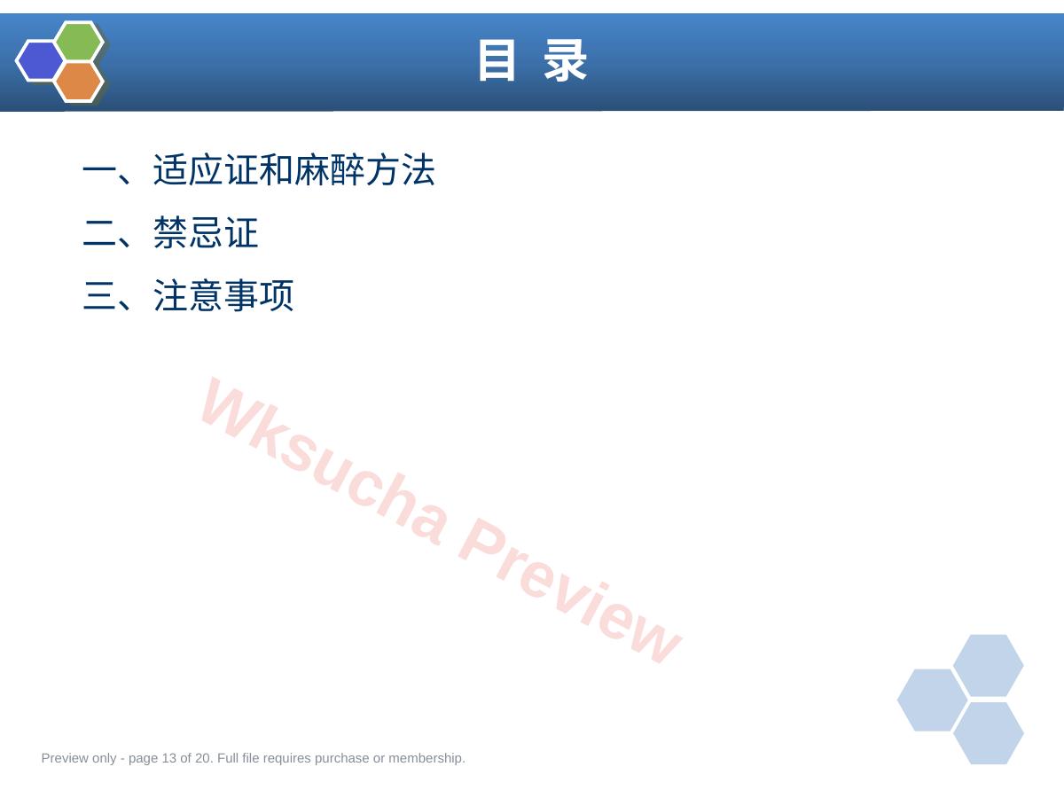 预览第 13 页