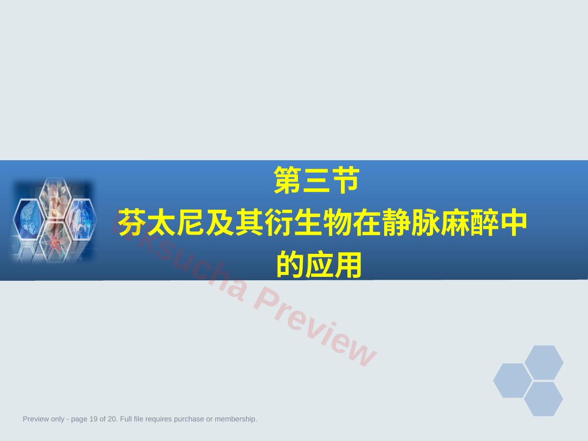 预览第 19 页