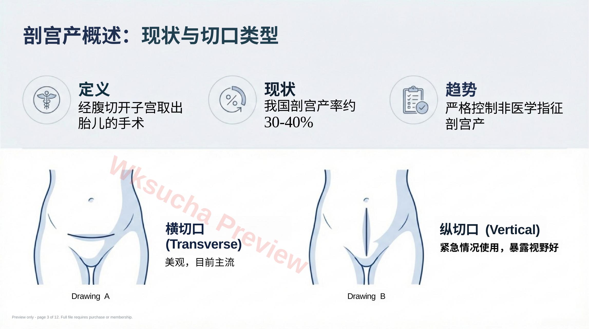 预览第 3 页