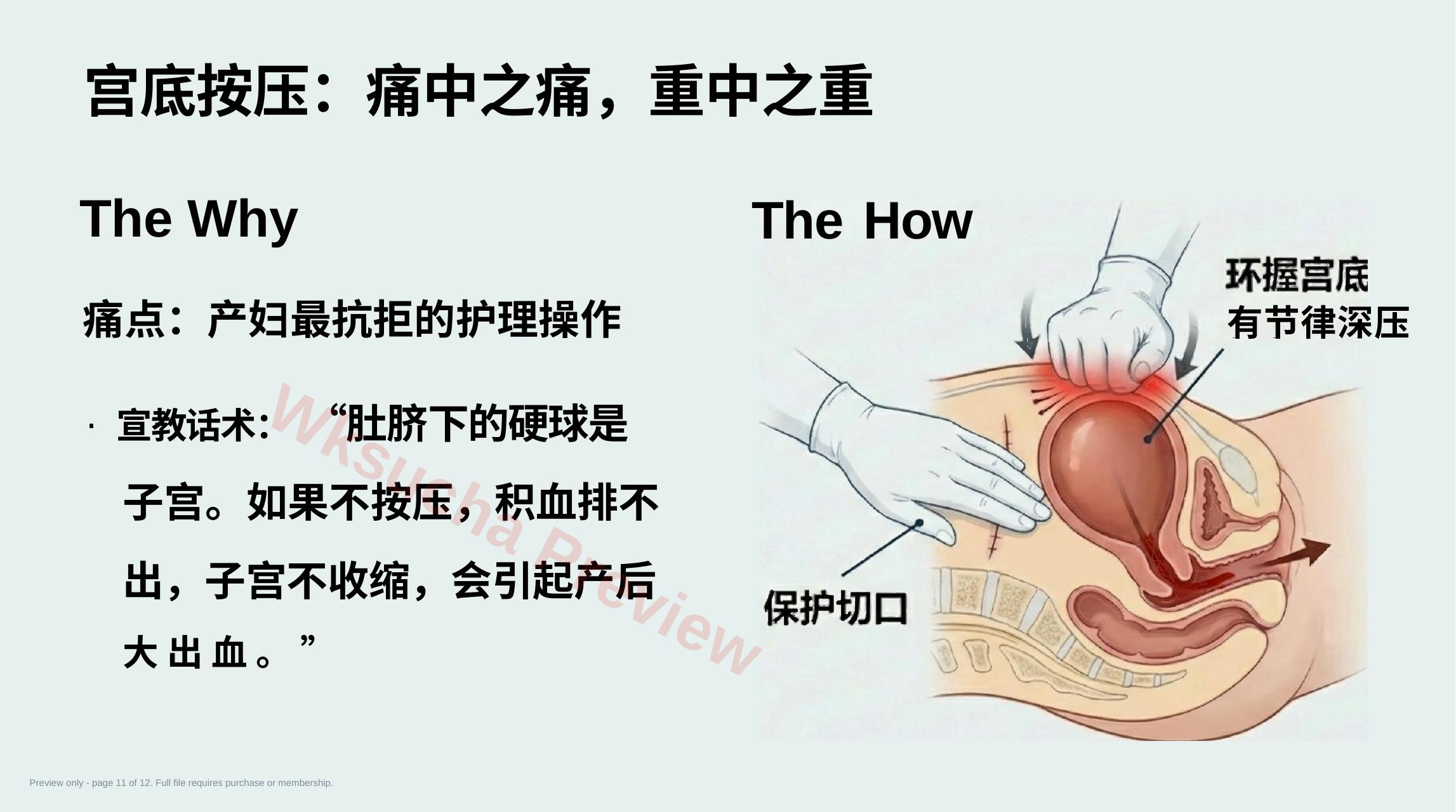 预览第 11 页