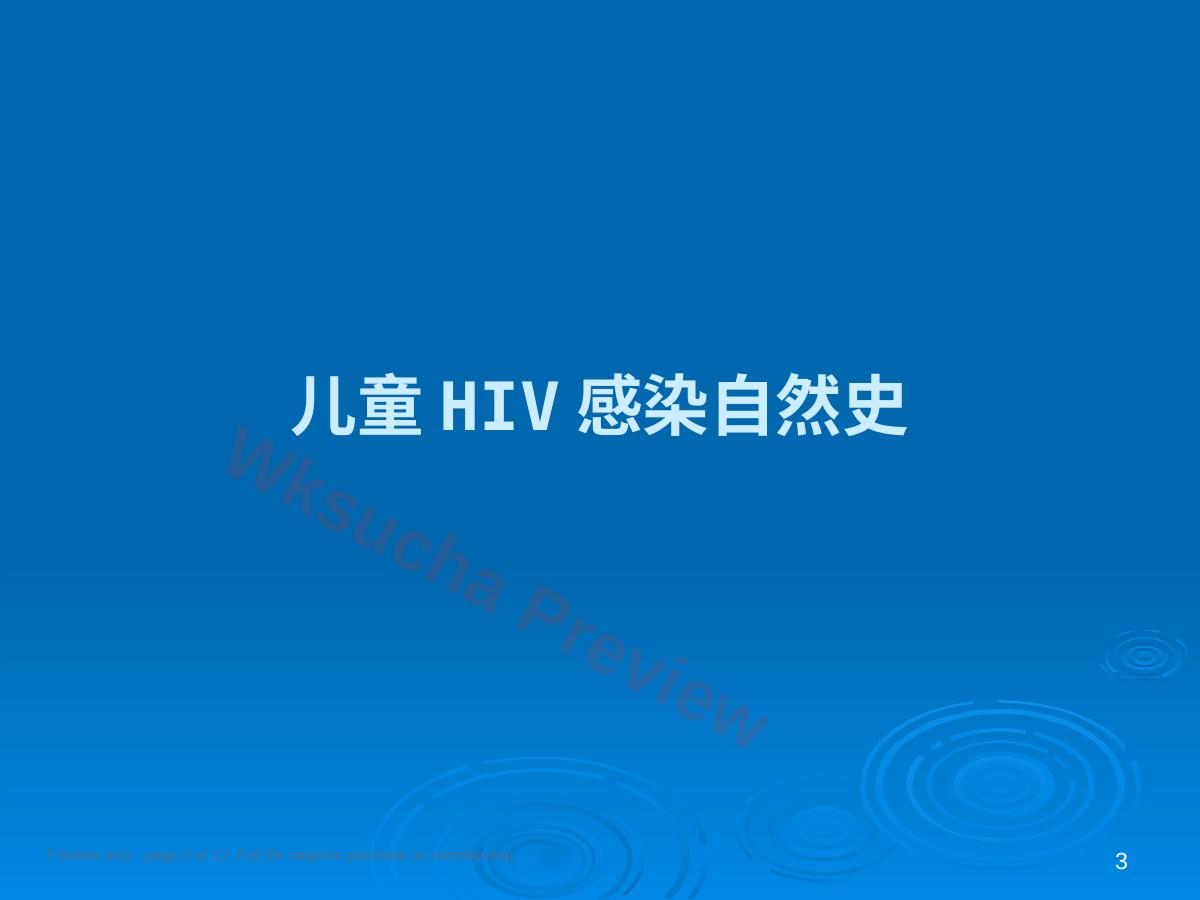 预览第 3 页