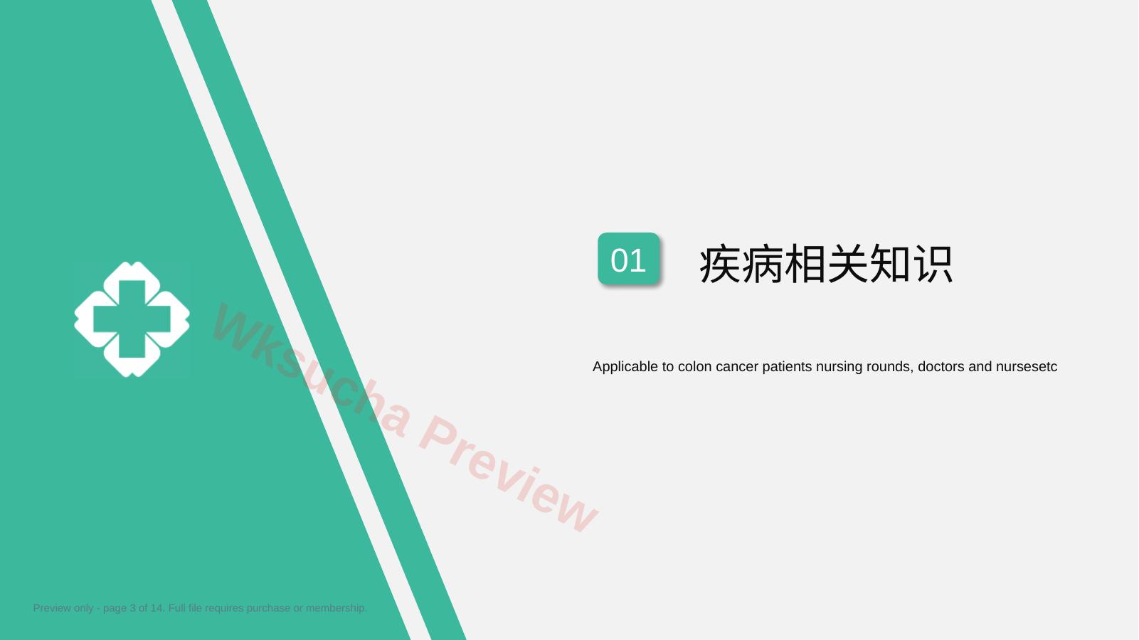 预览第 3 页