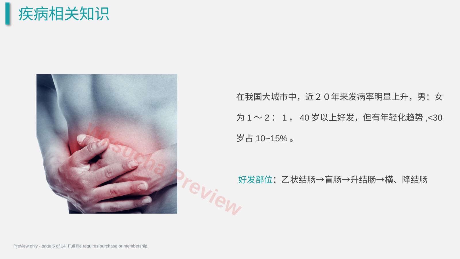 预览第 5 页