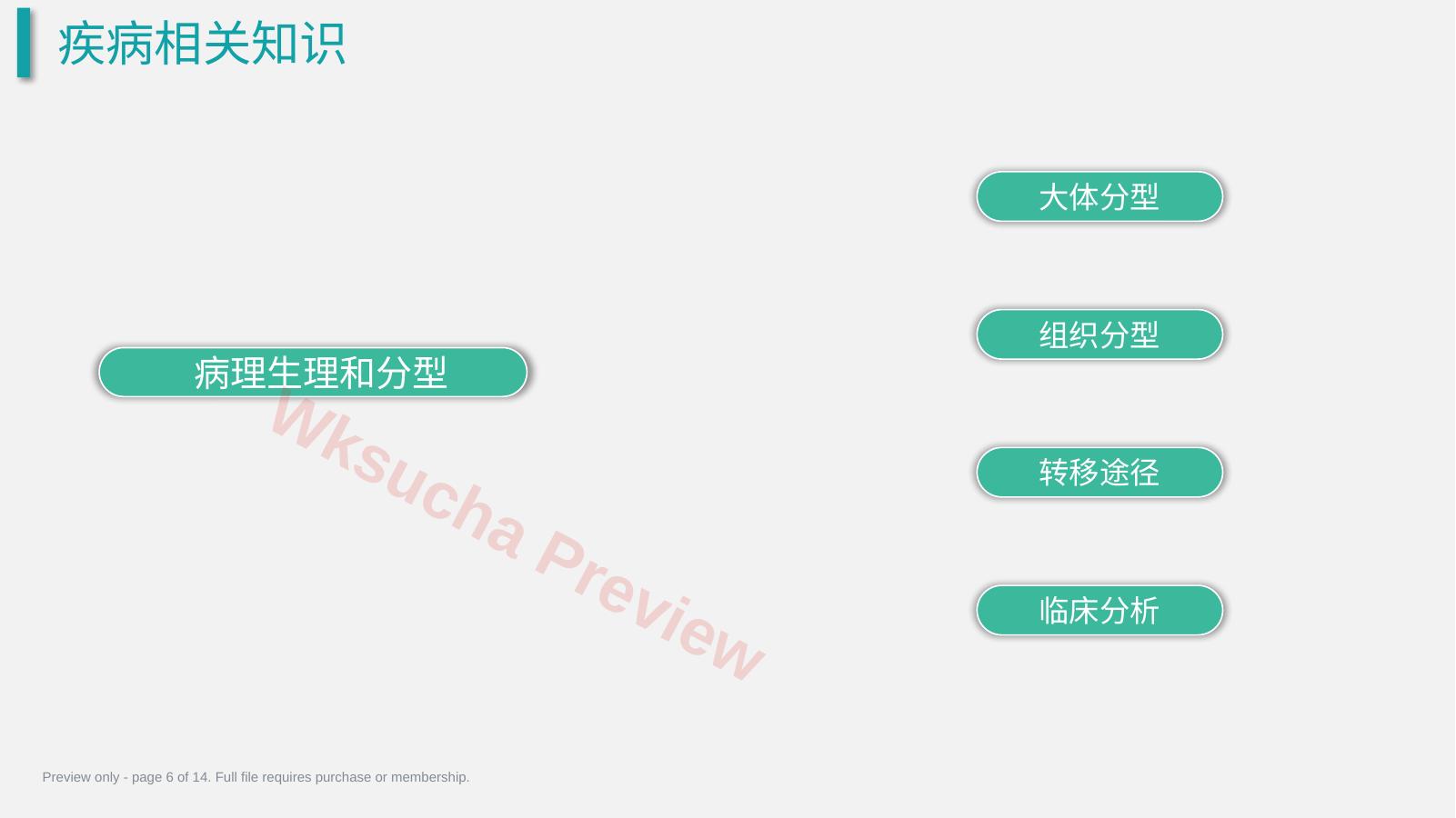 预览第 6 页