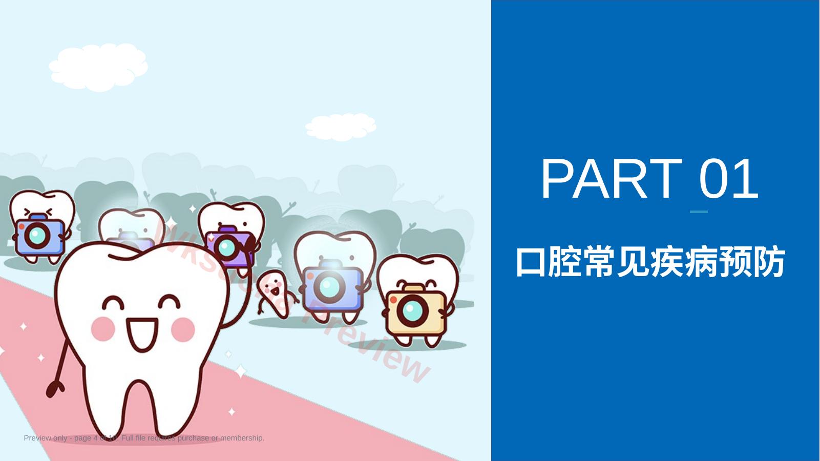 预览第 4 页