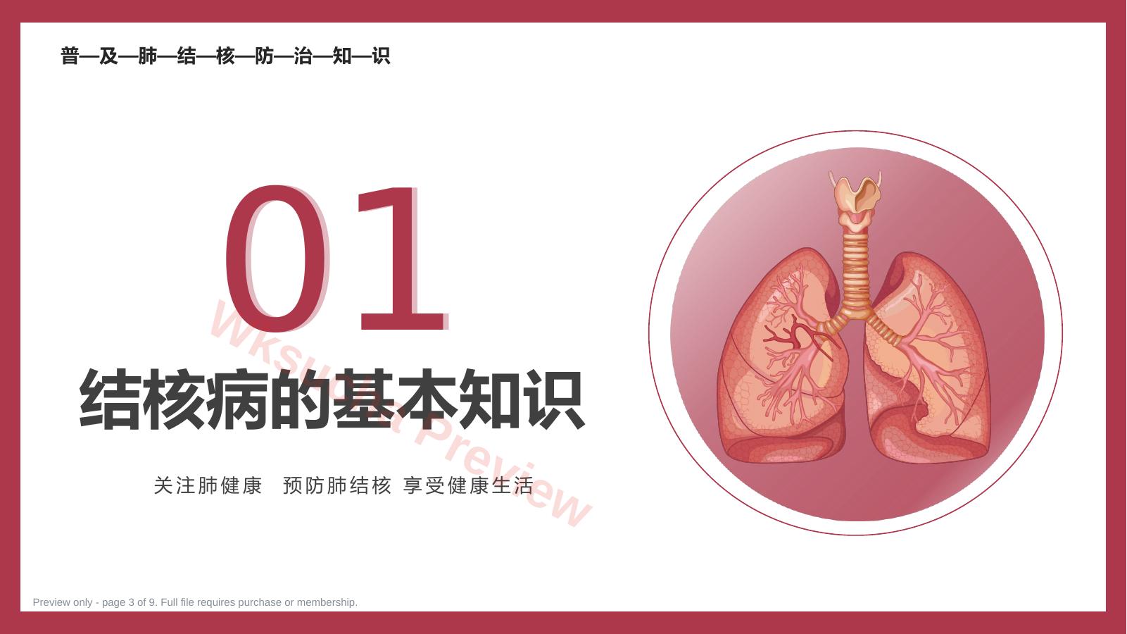 预览第 3 页