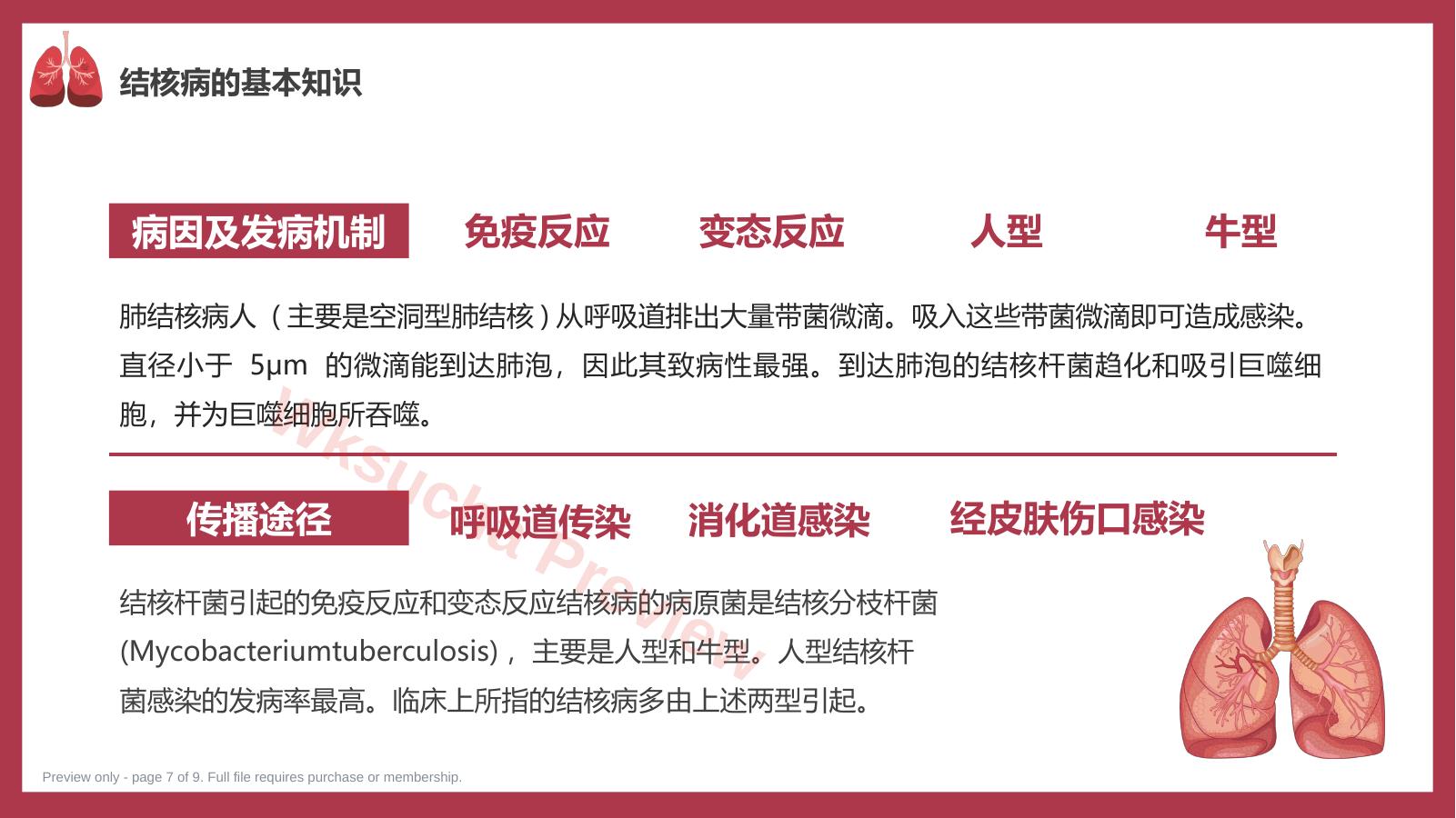 预览第 7 页