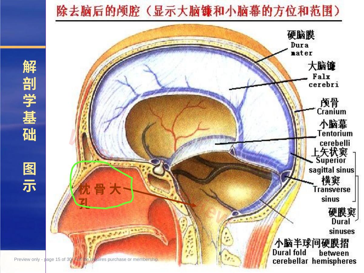 预览第 15 页
