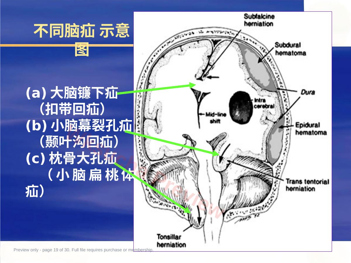 预览第 19 页