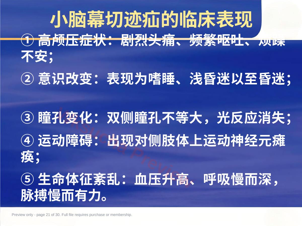 预览第 21 页
