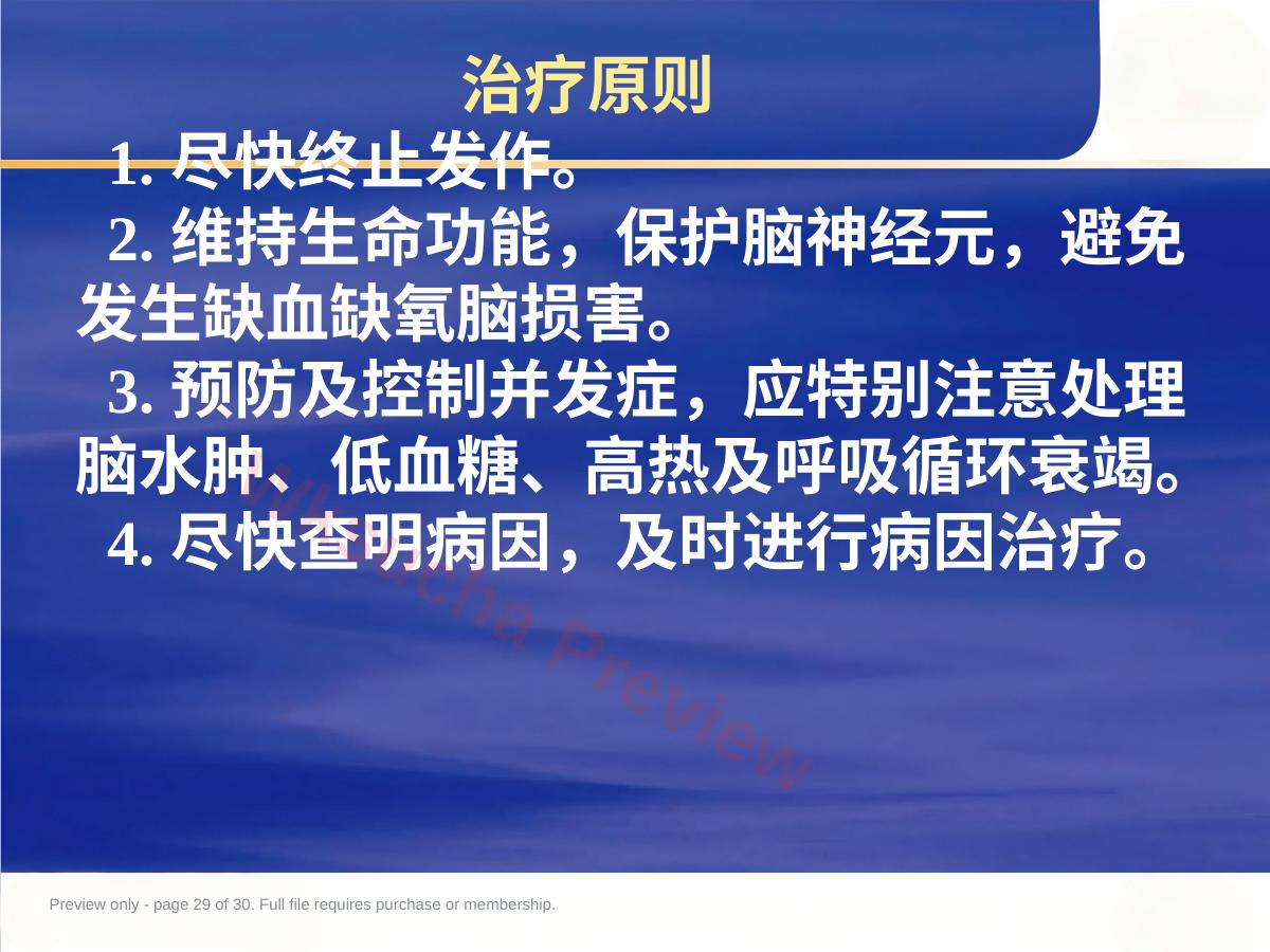 预览第 29 页