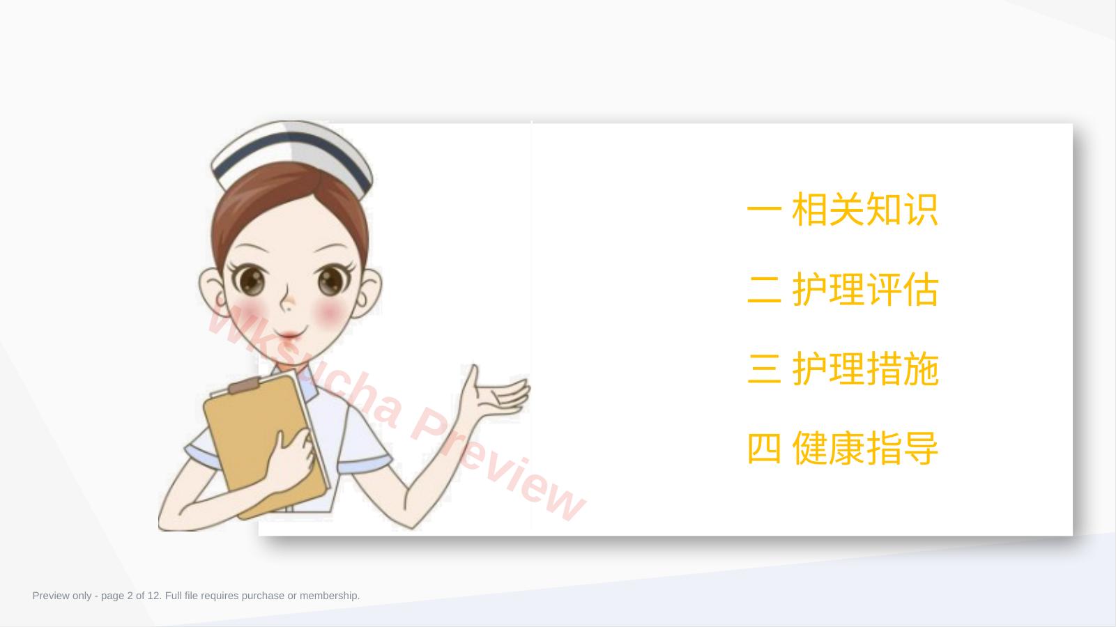 预览第 2 页